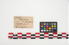 Etikett zu Bronzemehrkopfnadel (NHMW-PRAE-025236)